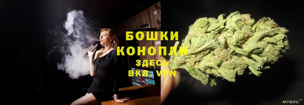 apvp Сосновоборск