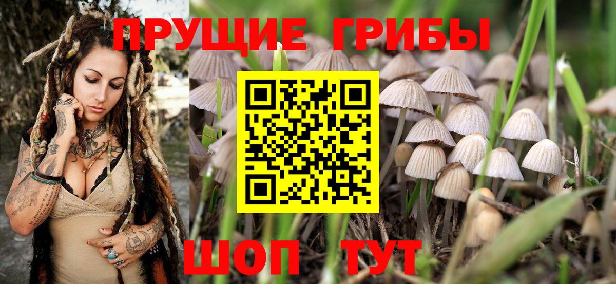 Тольятти  Галлюциногенные грибы Magic Shrooms  Вход с VPN 